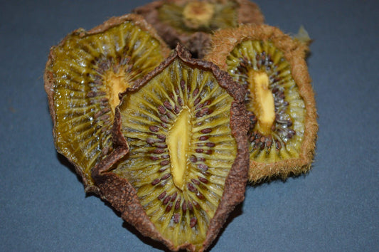 Kiwi Slices- Hermit Crab Food