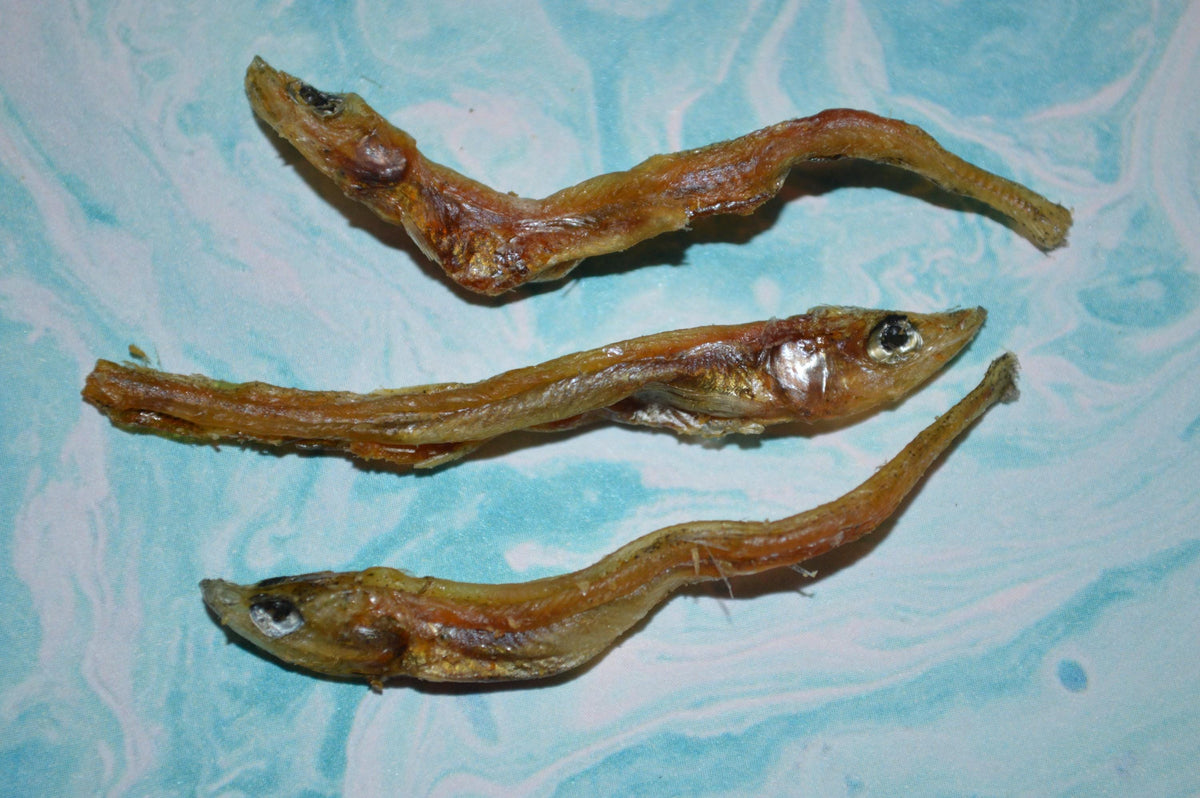Smelt - Hermit Crab Food