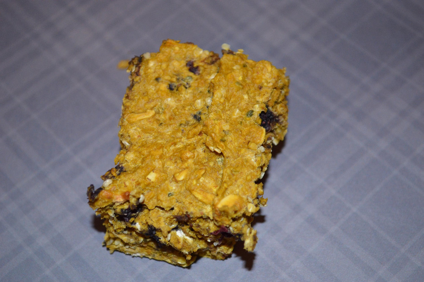 Blueberry Pumpkin Bars - Hermit Crab Food
