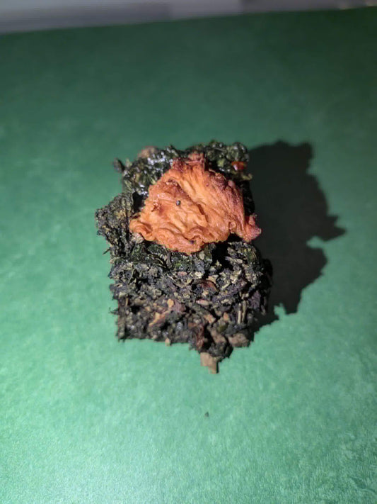 Green Pineapple Bar - Hermit Crab Food