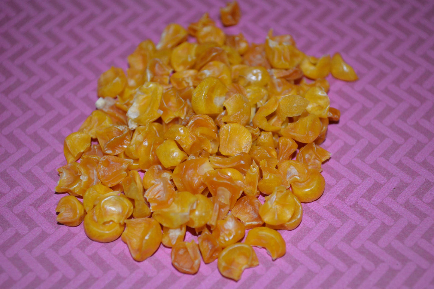 Corn - Hermit Crab Food