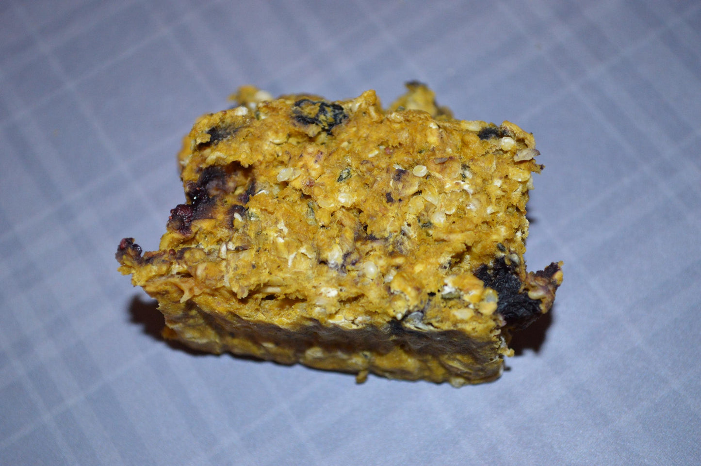 Blueberry Pumpkin Bars - Hermit Crab Food