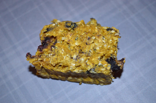 Blueberry Pumpkin Bars - Hermit Crab Food