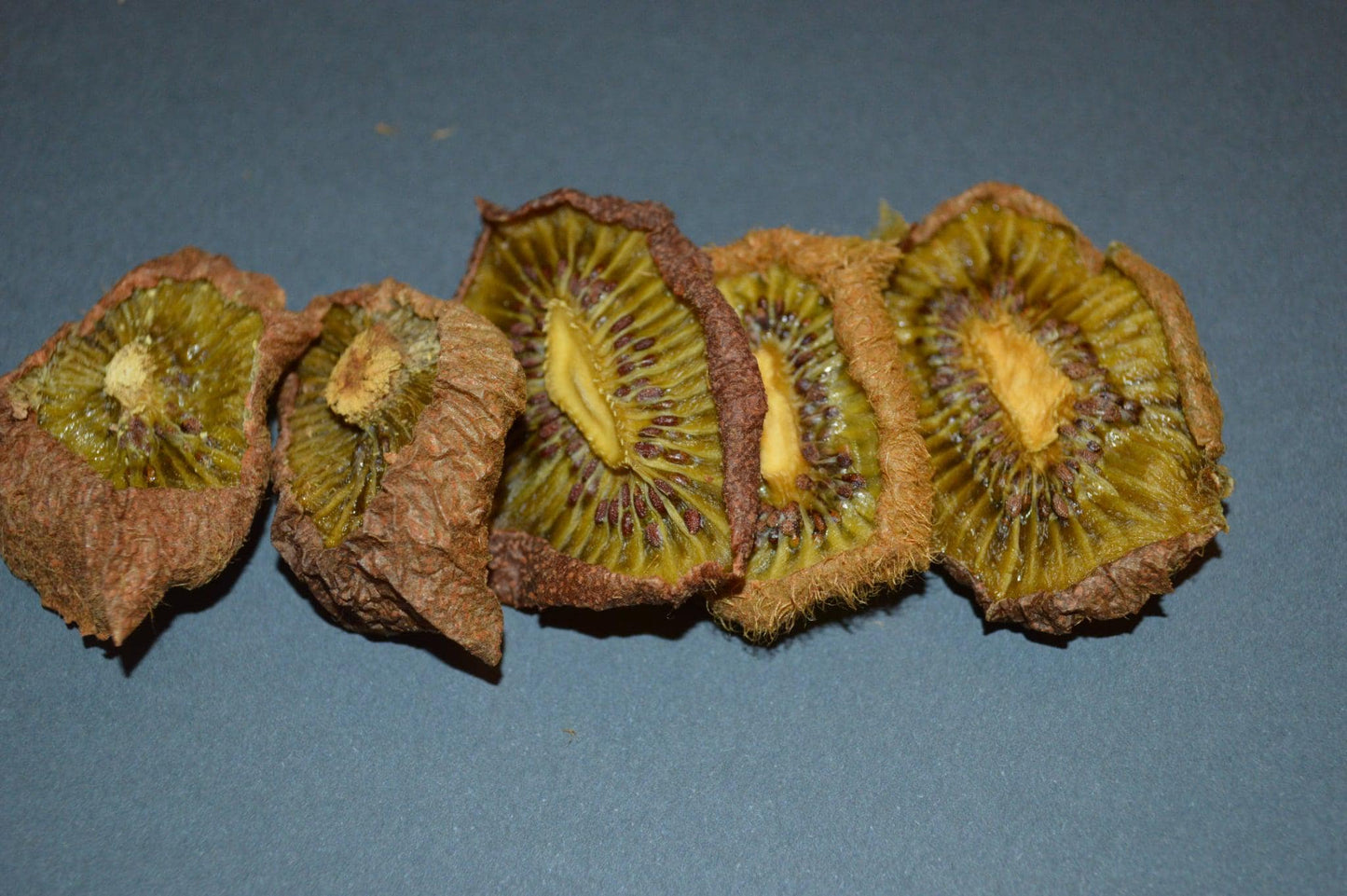 Kiwi Slices- Hermit Crab Food