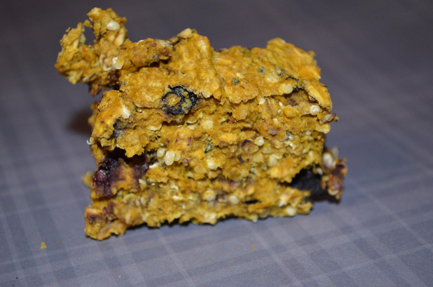 Blueberry Pumpkin Bars - Hermit Crab Food