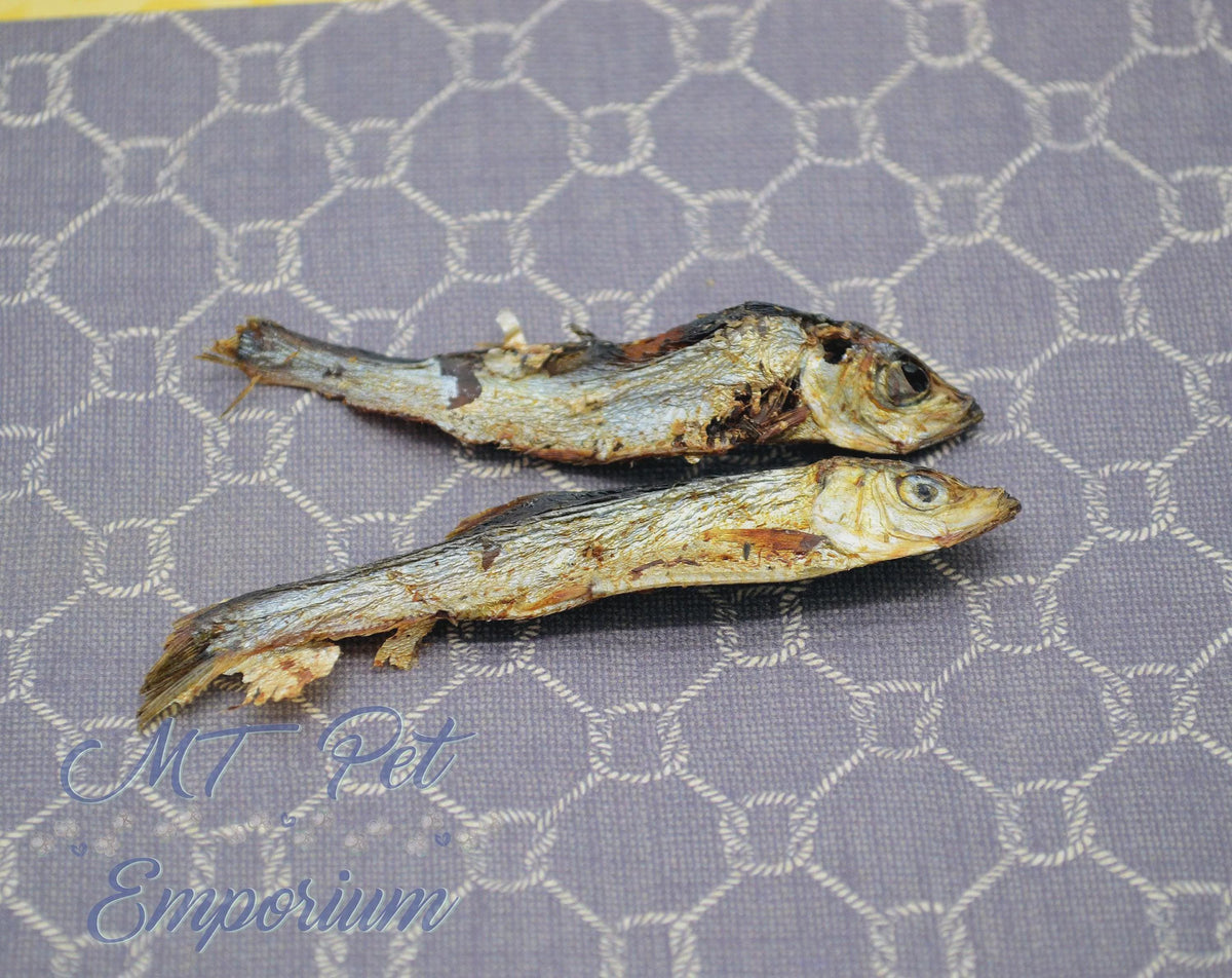 Club Hermit Fish N' Shrimp - Hermit Crab Food