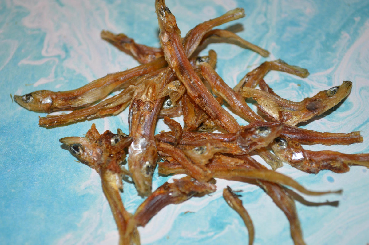 Smelt - Hermit Crab Food