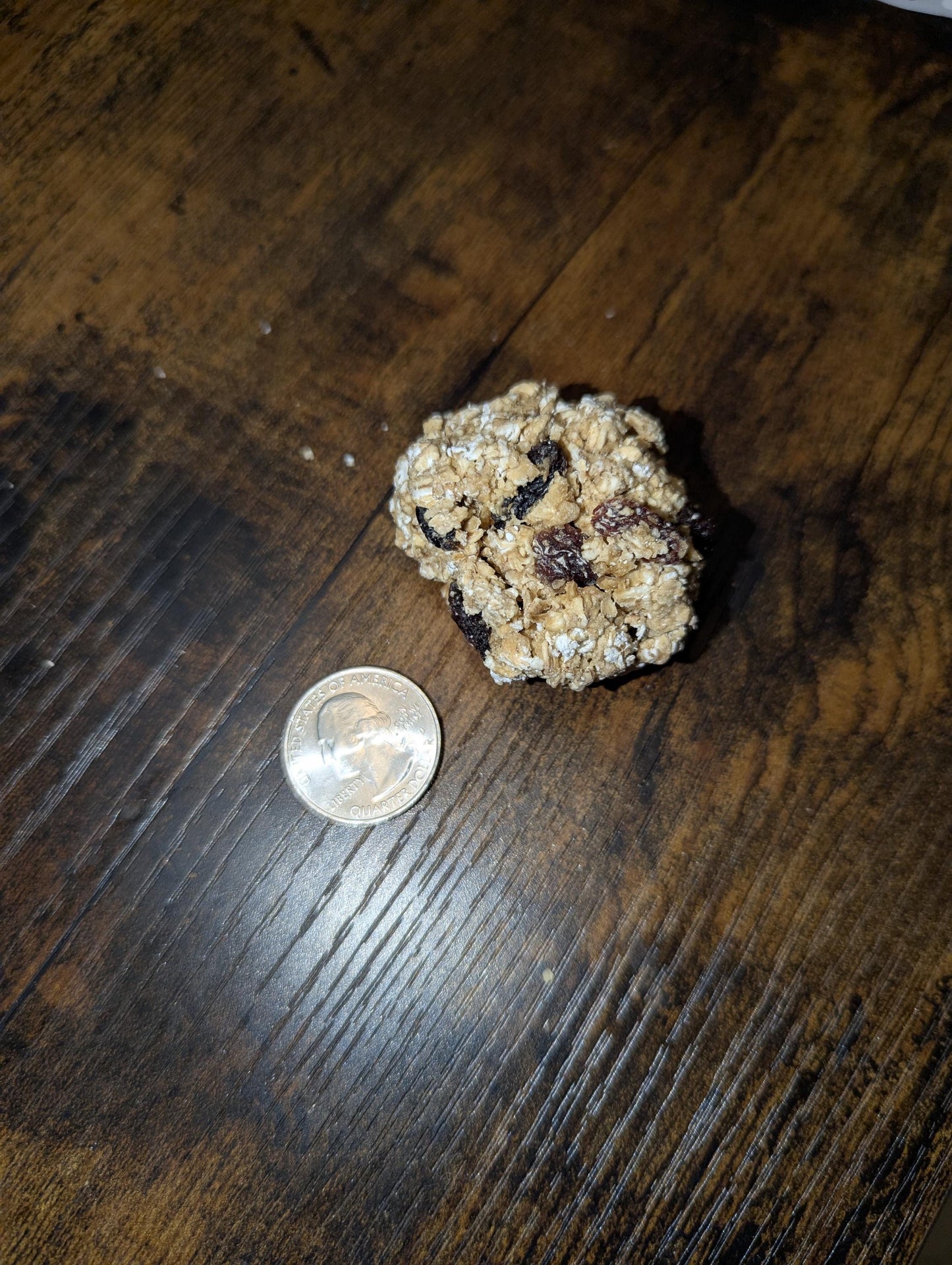 Oatmeal Raisin Cookie - Hermit Crab Food