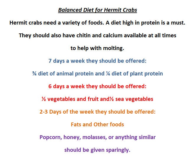 Seed mix - Hermit Crab Food