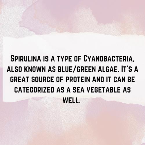 Spirulina - Hermit Crab Food