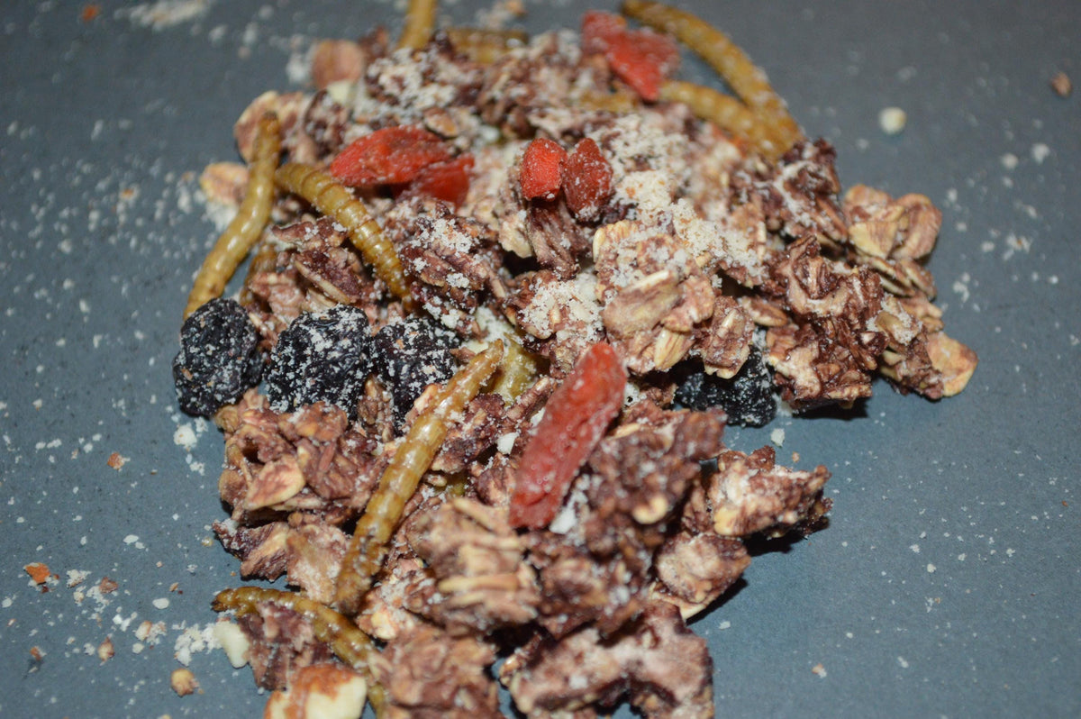 Spooky Trail Mix - Hermit Crab Food