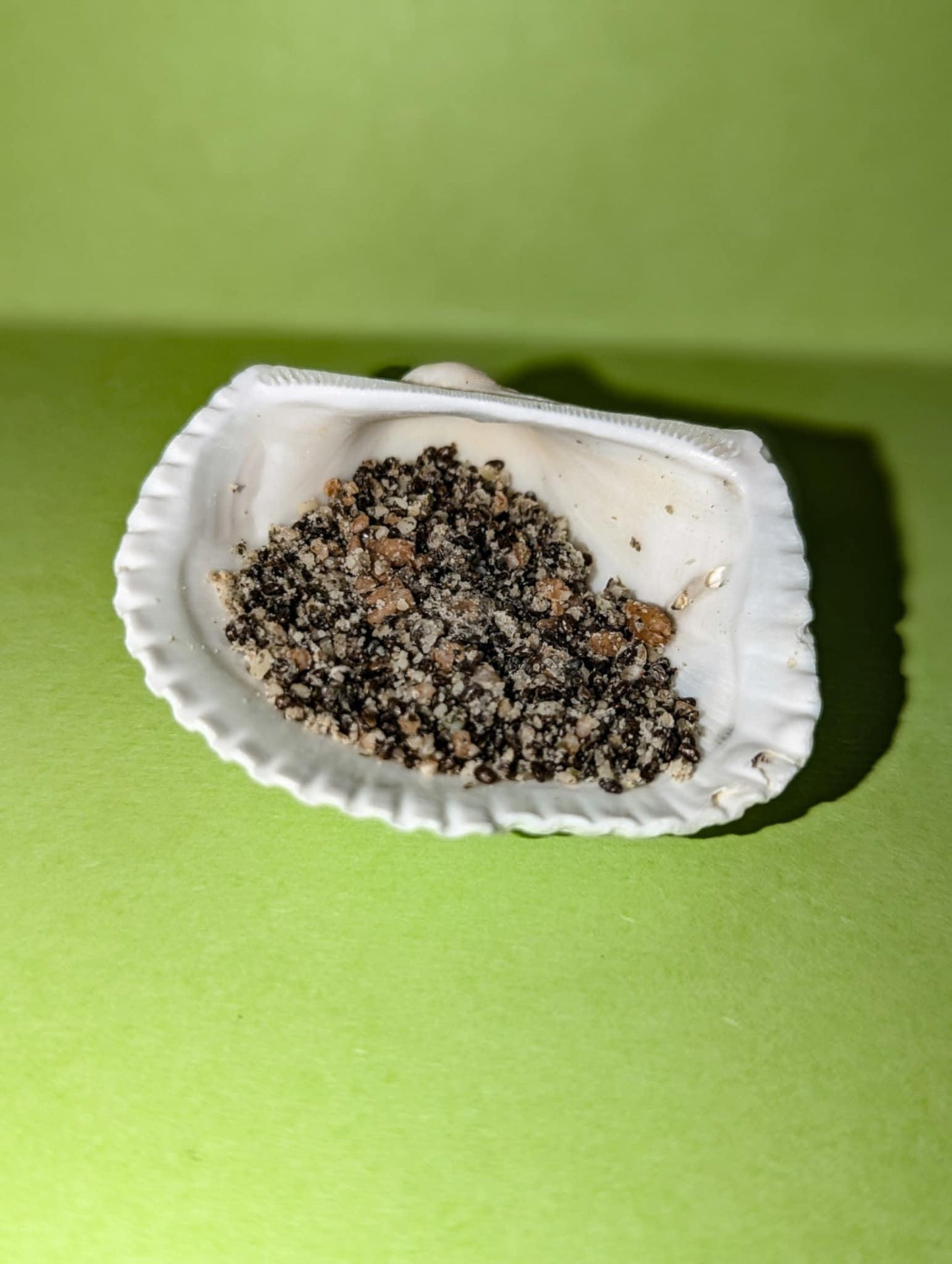 Seed mix - Hermit Crab Food