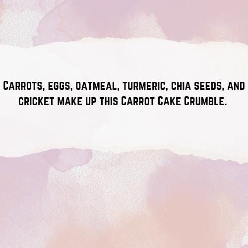 Carrot Cake Cricket Crumble - Hermit Crab Food