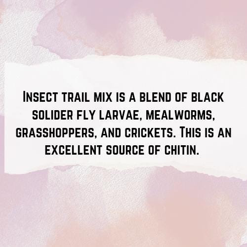 Insect Trail Mix - Hermit Crab Food, Fish Food, Chicken Snack