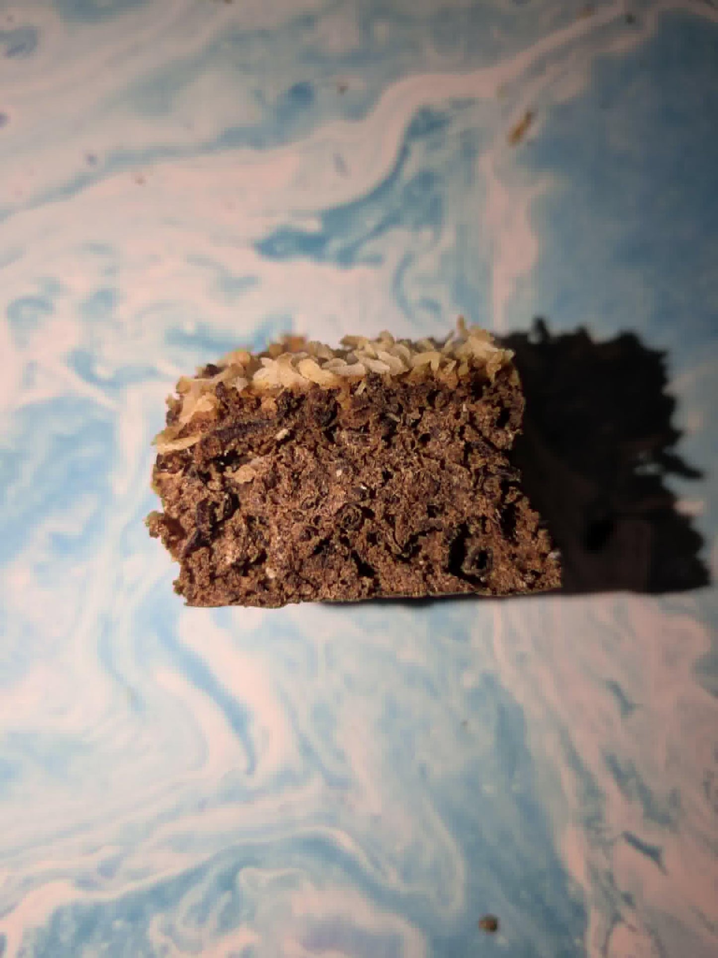 Earthworm Delight Bar - Hermit Crab Food