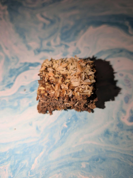 Earthworm Delight Bar - Hermit Crab Food