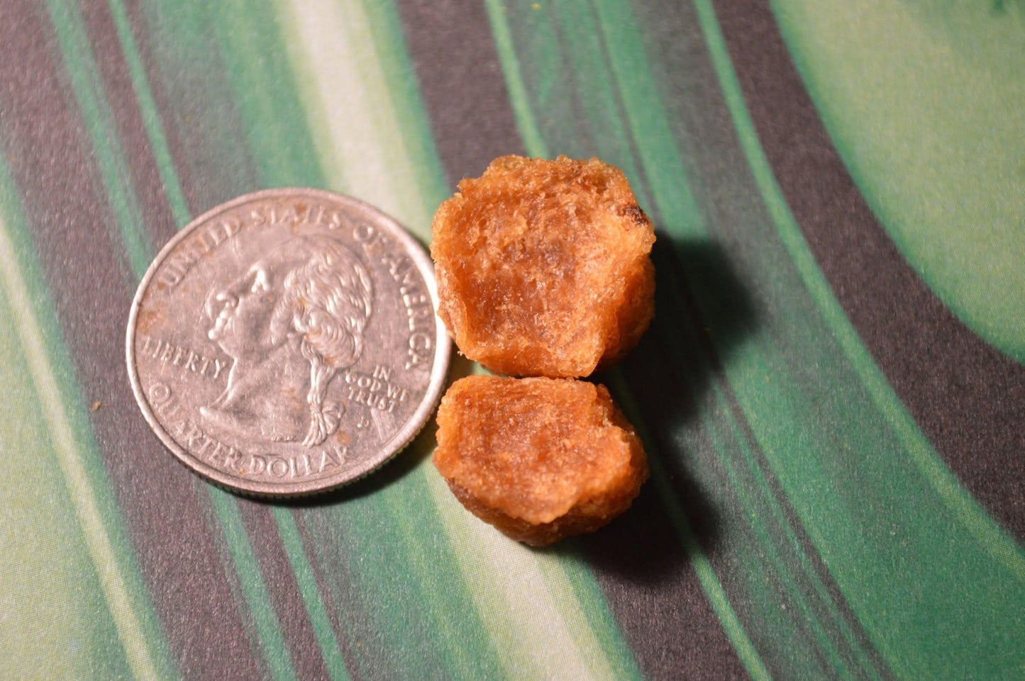 Mini salmon chips - Hermit Crab Food