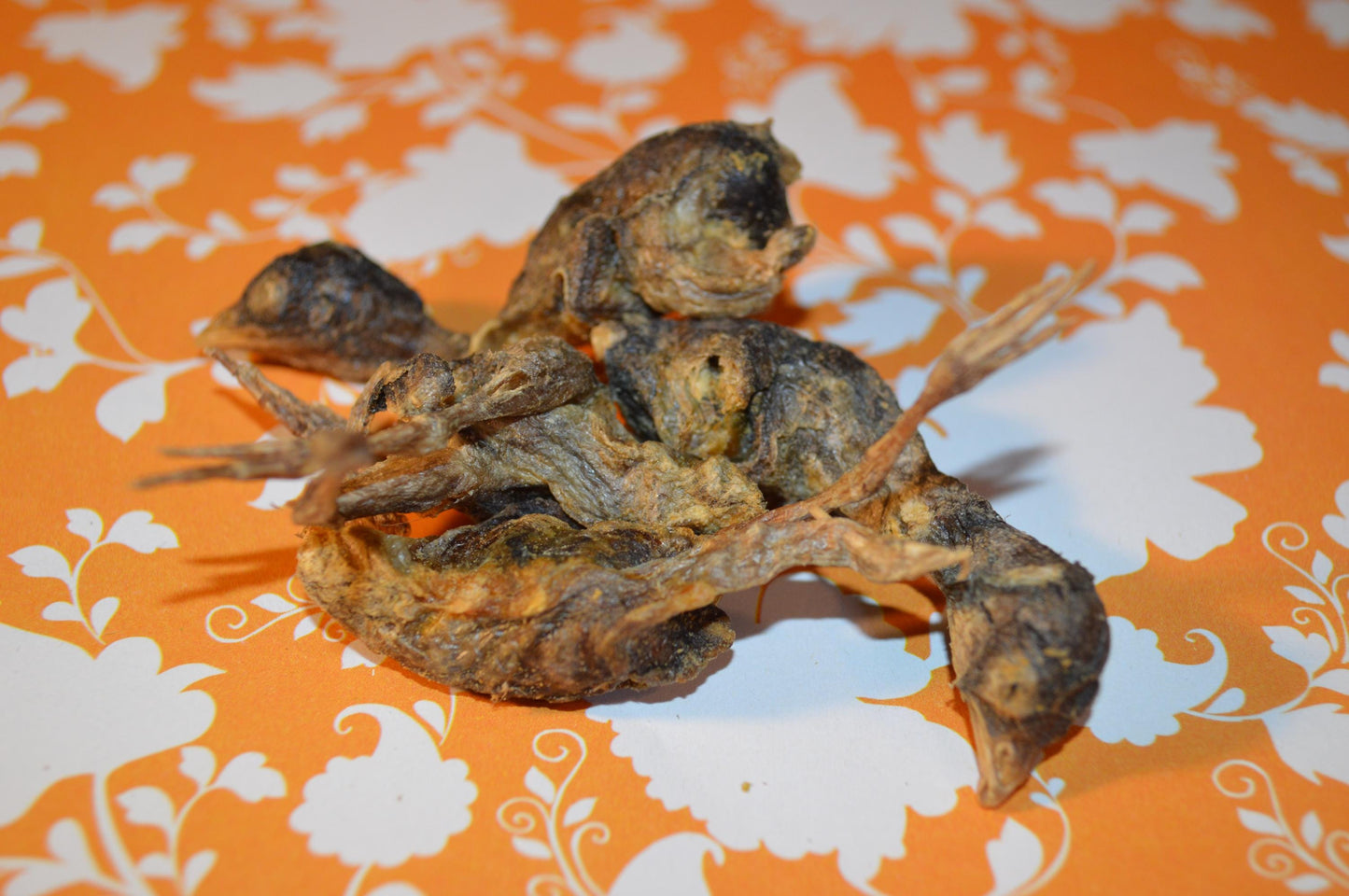 Whole Freeze Dried Quail - Hermit Crab Food