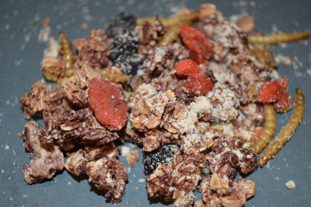 Spooky Trail Mix - Hermit Crab Food