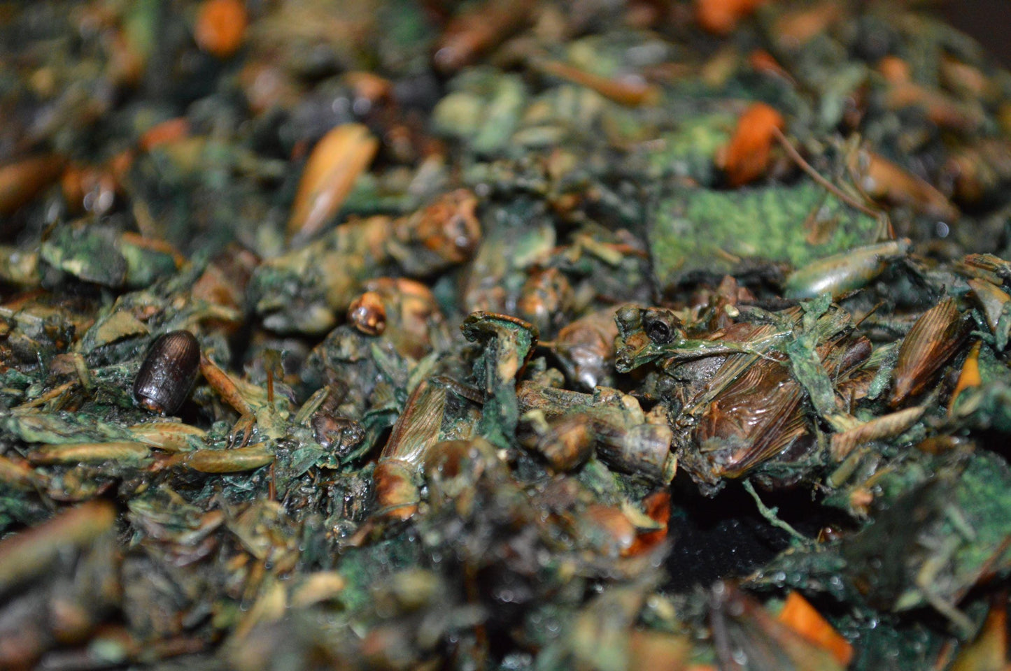 Stinky Green Mix - Hermit Crab Food
