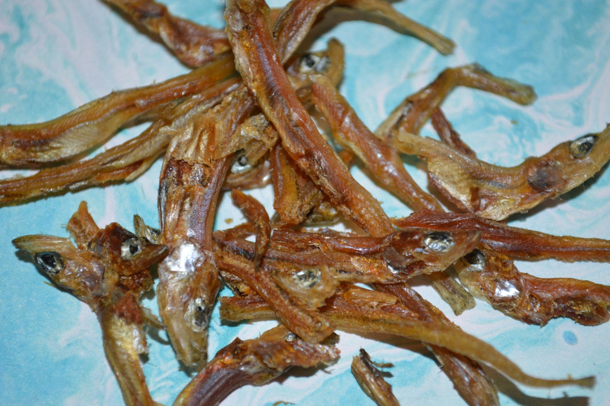 Smelt - Hermit Crab Food