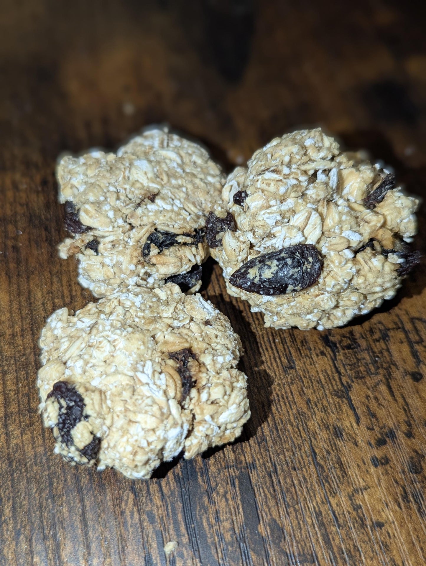 Oatmeal Raisin Cookie - Hermit Crab Food