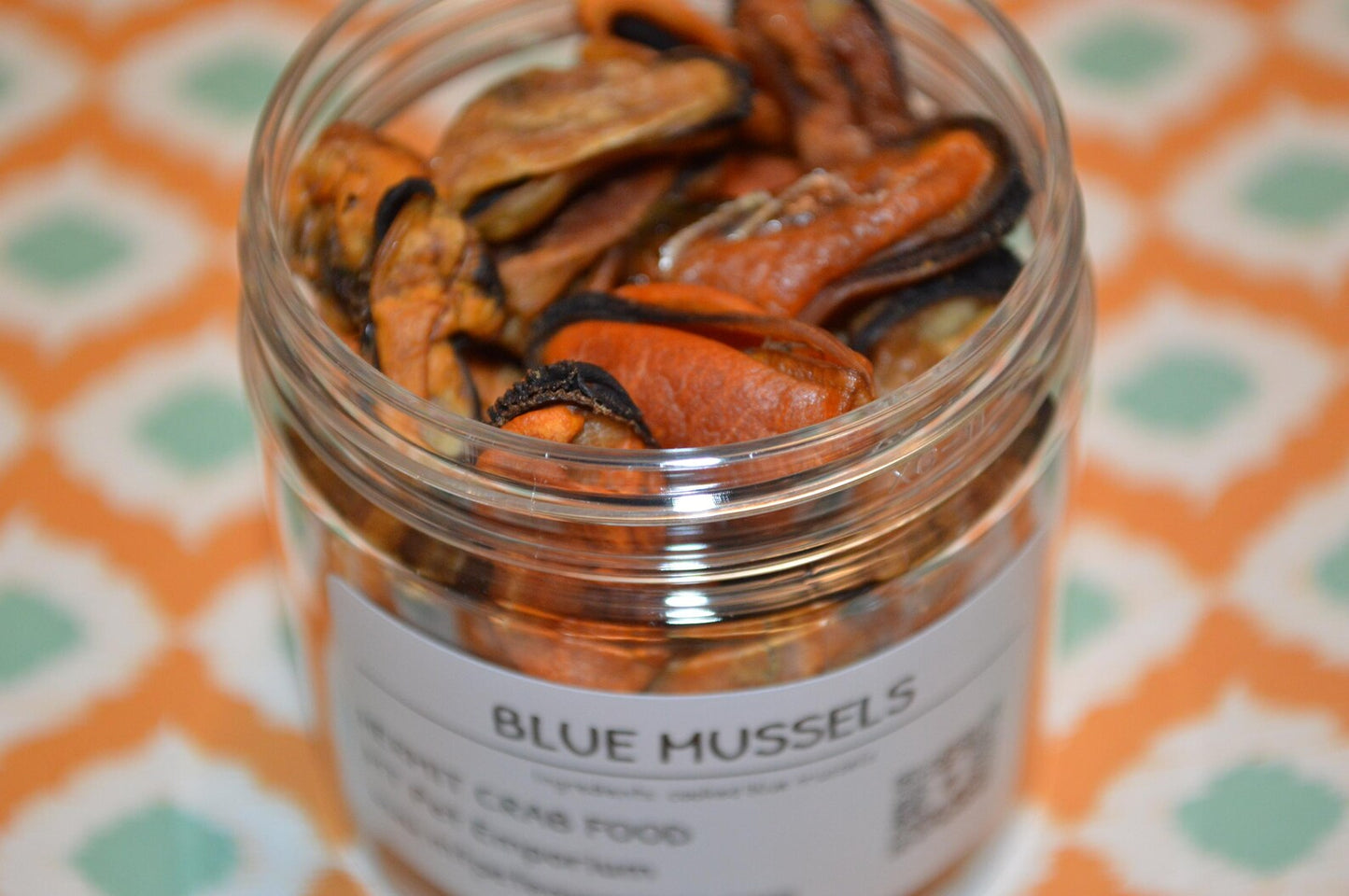 Blue Mussel - Hermit Crab Food