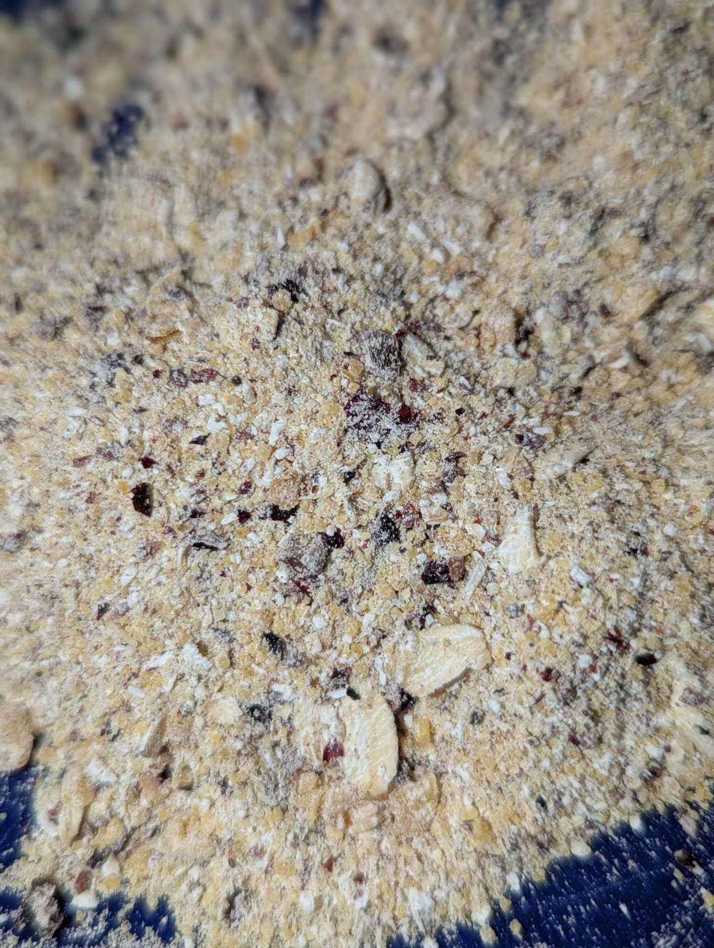 Cranberry Crumble - Hermit Crab Food