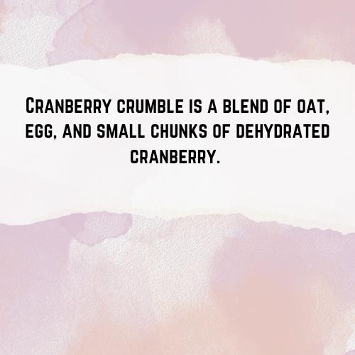 Cranberry Crumble - Hermit Crab Food