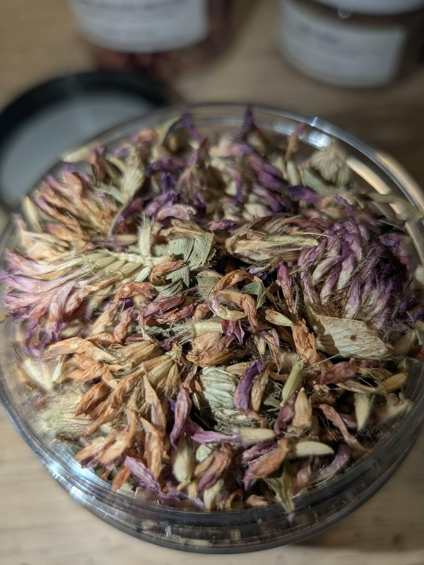 Red Clover Blossoms Organic- Hermit Crab Food