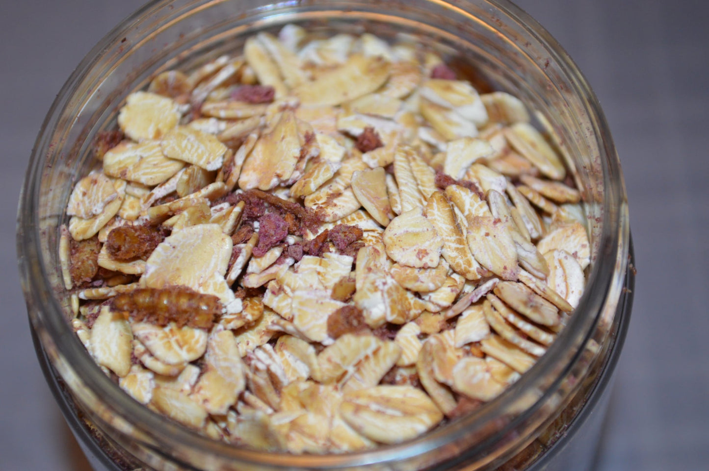 Raspberry and Purple Sweet Potato Oatmeal- Hermit Crab Food