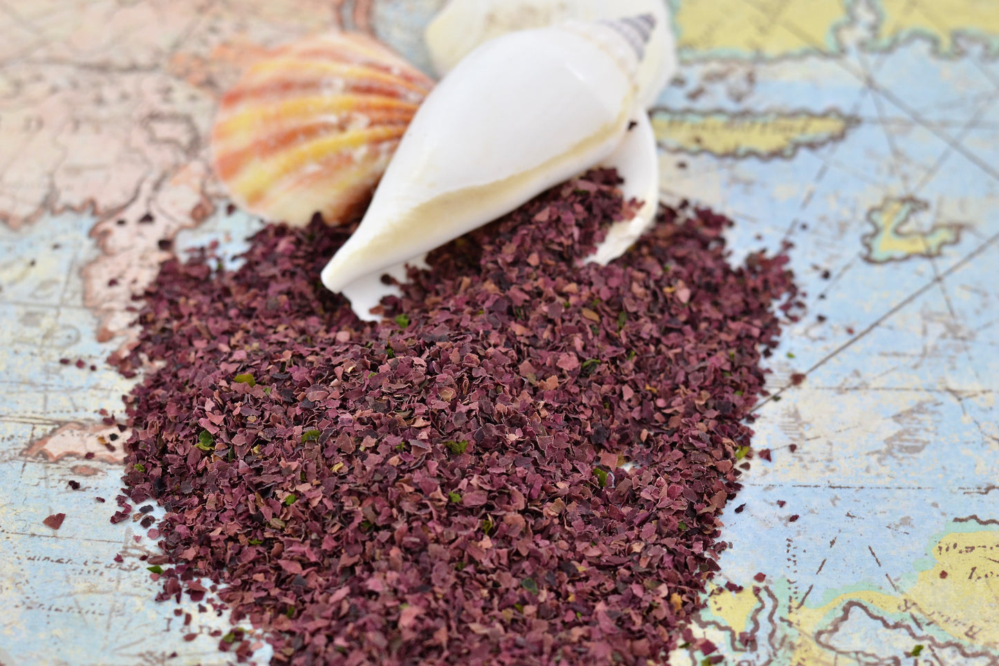Dulse Seaweed - Hermit Crab Food