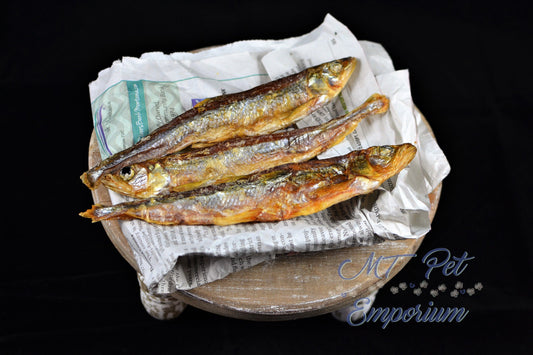Smelt Whole Large - Hermit Crab Food