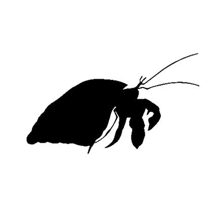 Hermit Crab Vinyl Decal Sticker