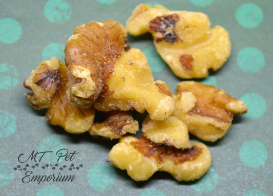 Walnut Pieces - Hermit Crab Food