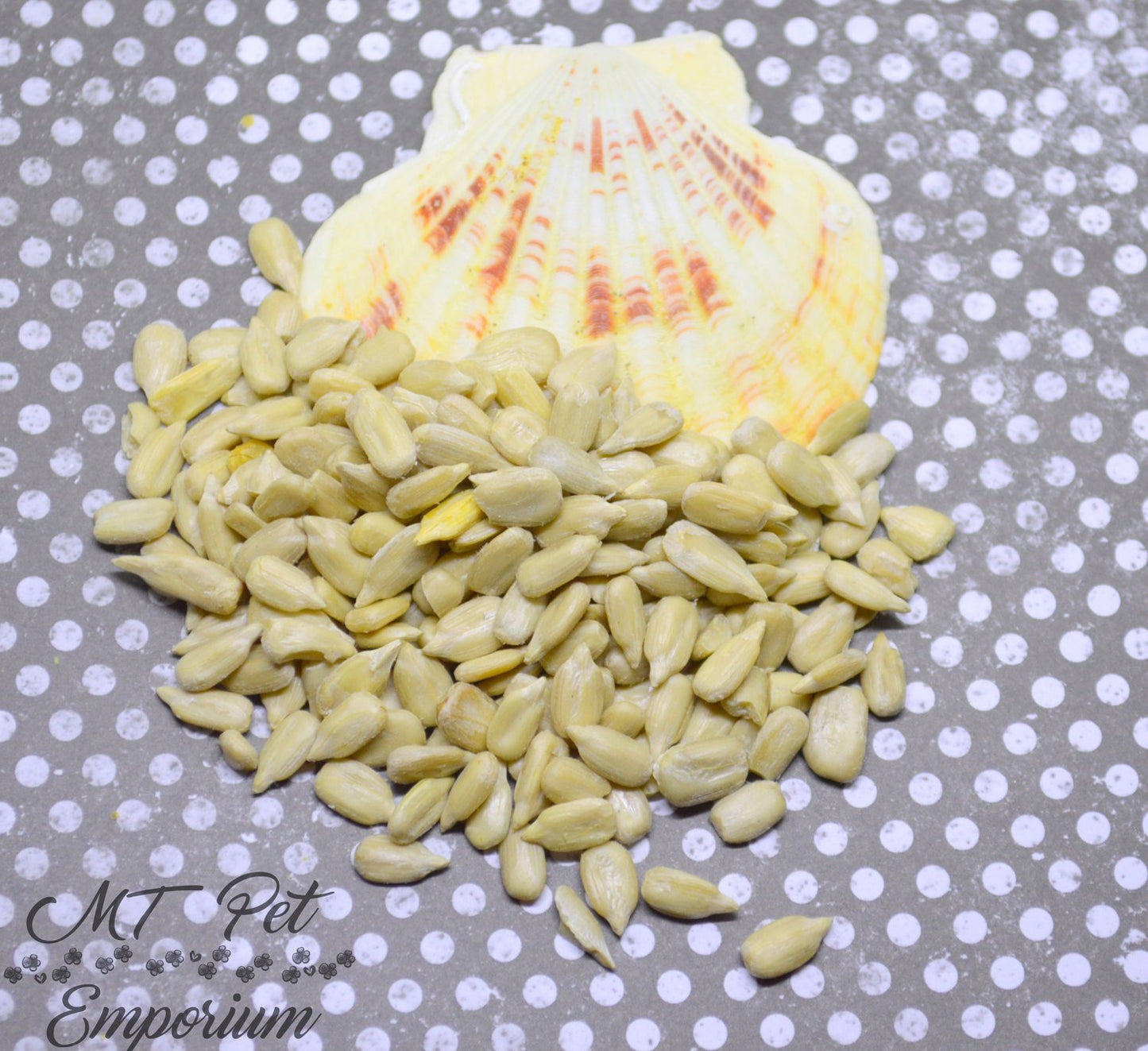 Sunflower Seeds - Hermit Crab Food