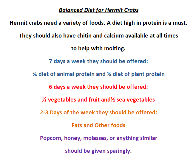 Tropical Blend - Hermit Crab Food