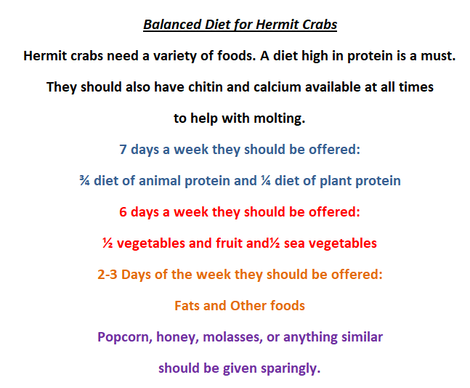 Duck Bites - Hermit Crab Food