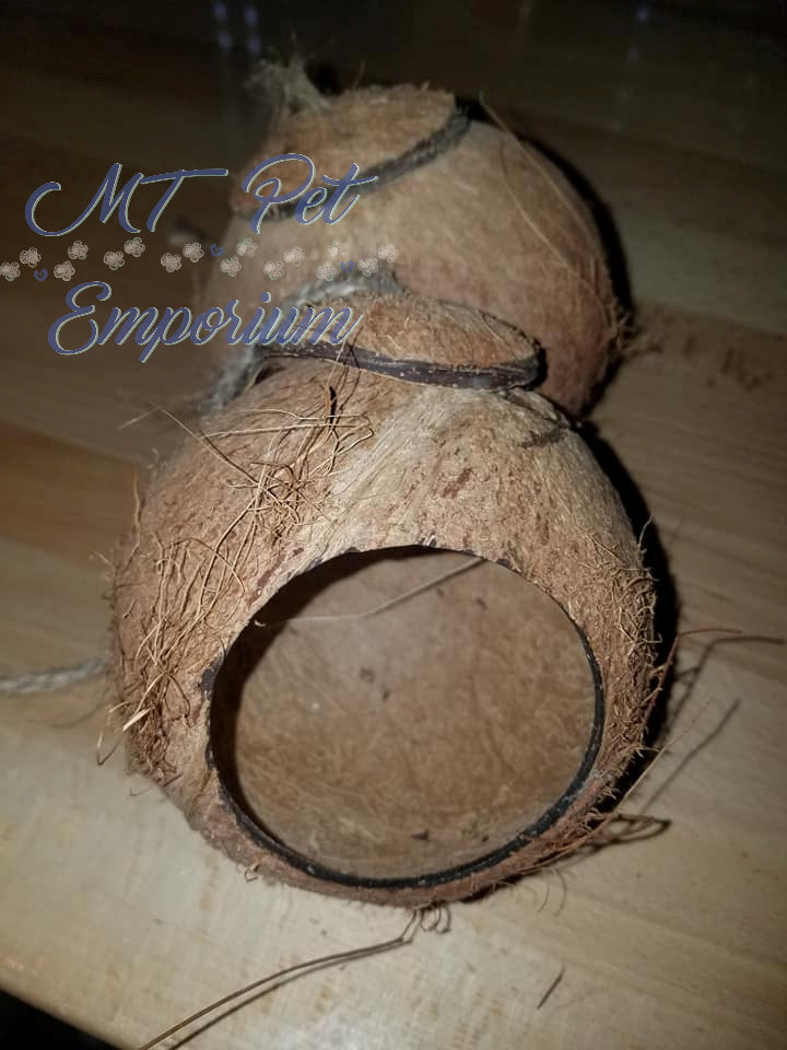 Coconut Hut - Hermit Crab Moss Pit or Bird House