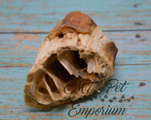 Lamb Horn Marrow Chunk- Hermit Crab Food