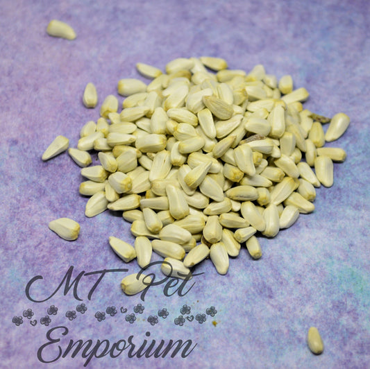 Safflower Seeds - Hermit Crab Food