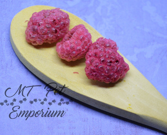 Raspberries - Hermit Crab Food