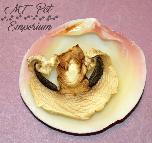 White Mushrooms Slices - Hermit Crab Food