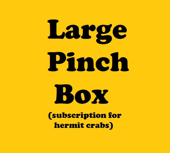 LARGE Pinch Box - Monthly Hermit Crab Food Box