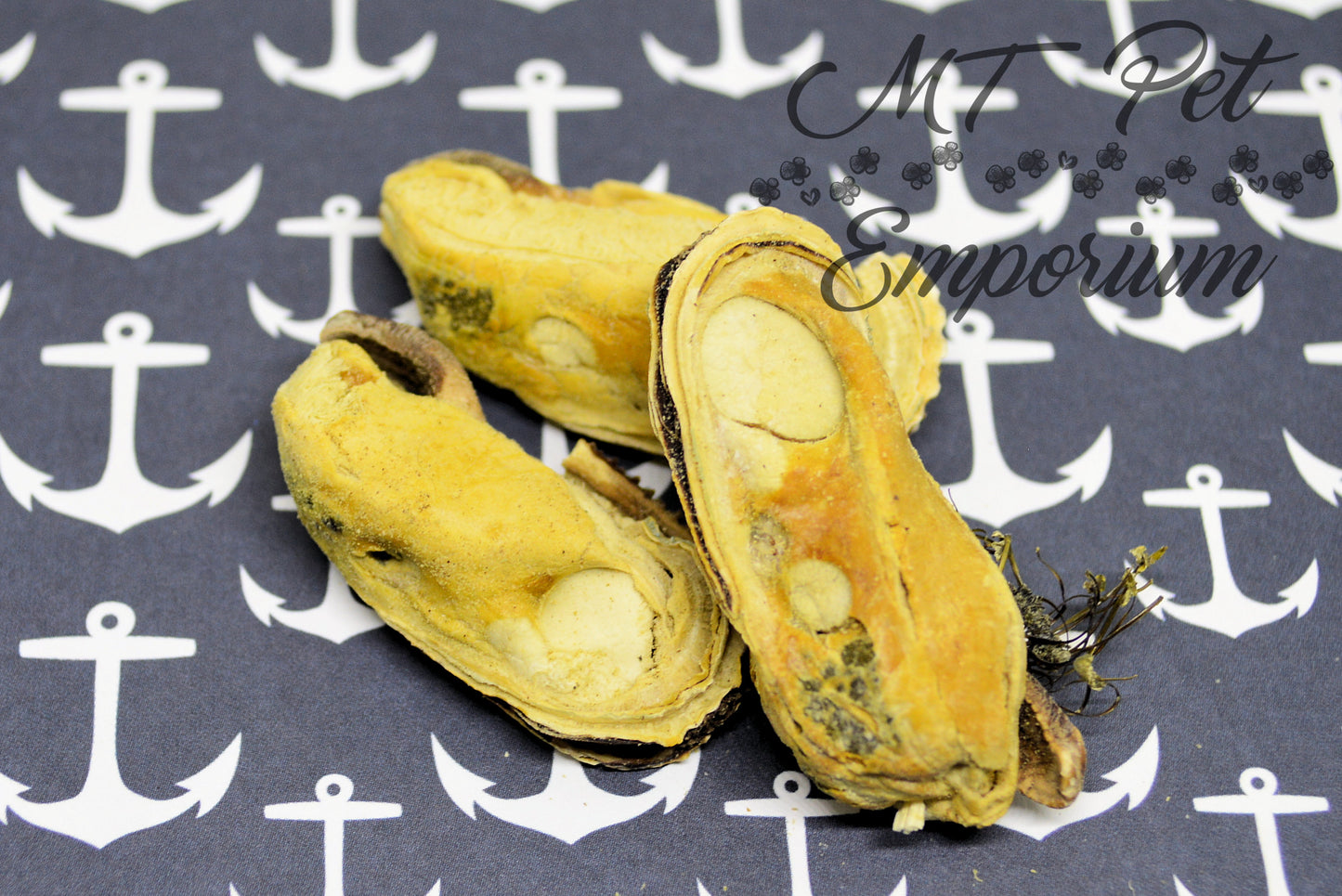 Mussel - Hermit Crab Food