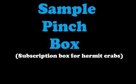 Sample Pinch Box - Monthly Hermit Crab Food Box