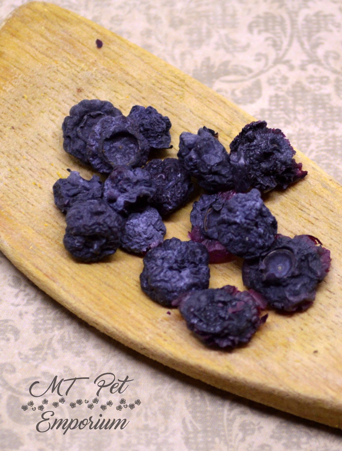 Blueberries - Hermit Crab Food