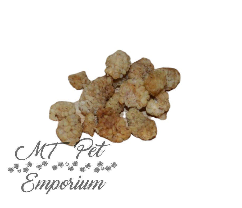 Organic White Mulberries- Hermit Crab Food