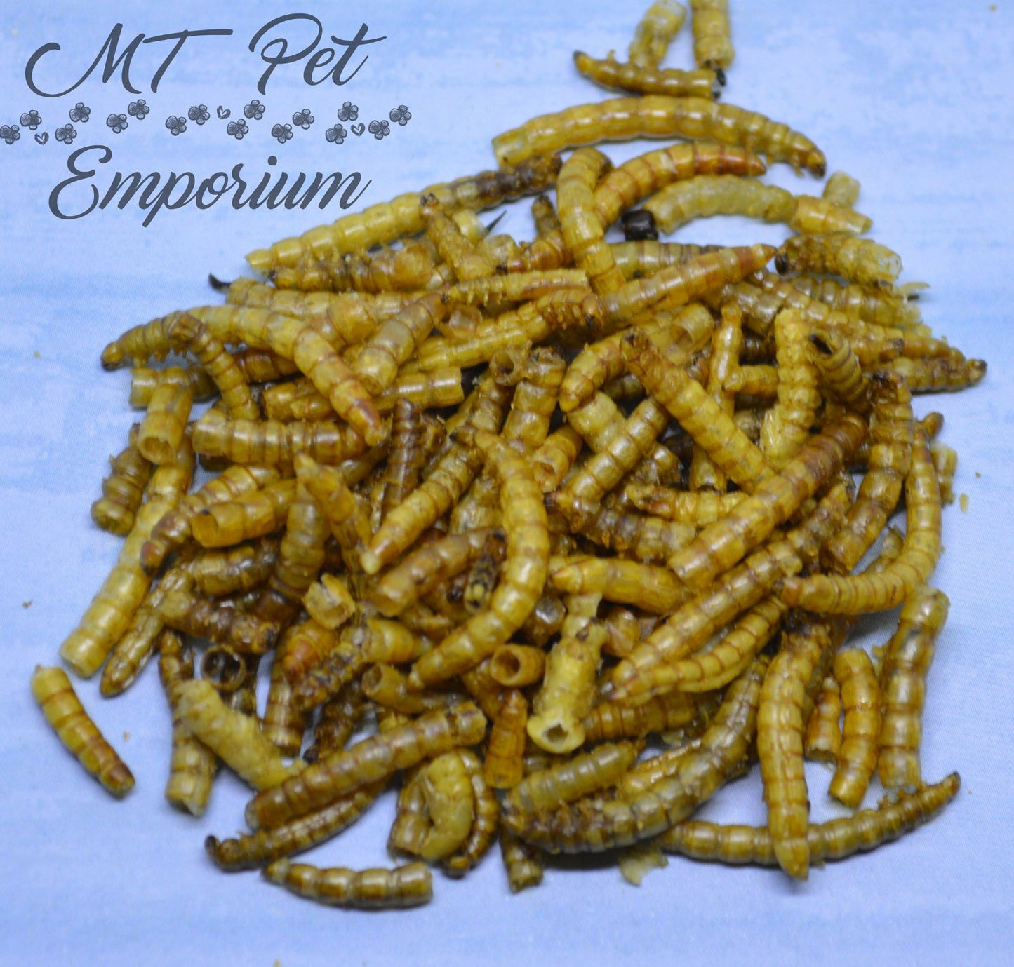 Mealworms - Hermit Crab Food