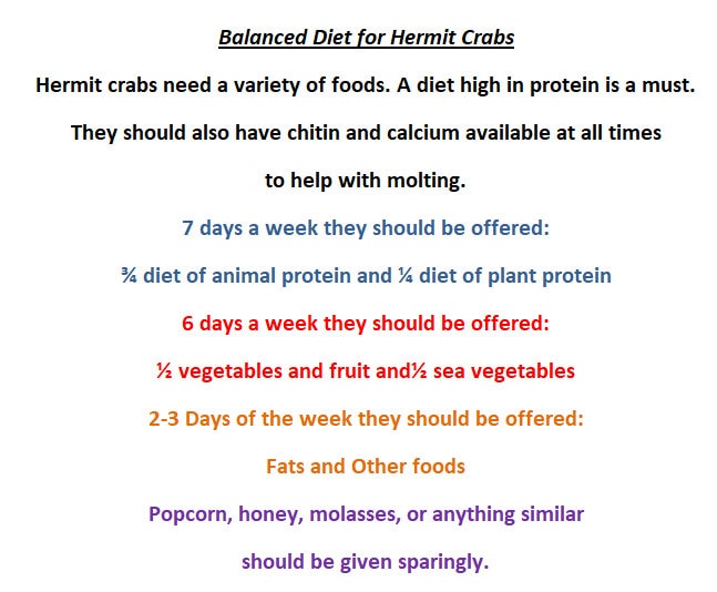 Jasmine Flowers - Hermit Crab Food